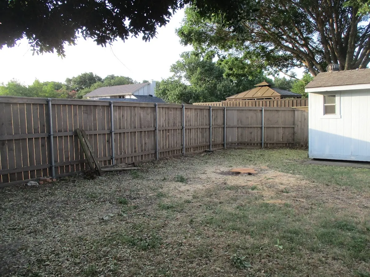 Cleared yard after professional tree removal in Saint Anthony